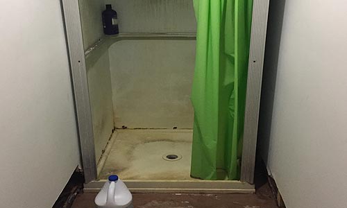 Black Mold in Shower